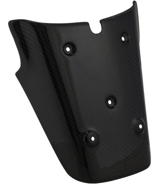 Portamatrícula trasero para Vespa GTS/​GTS Super/​GTV 125-300ccm (-'13), carbono